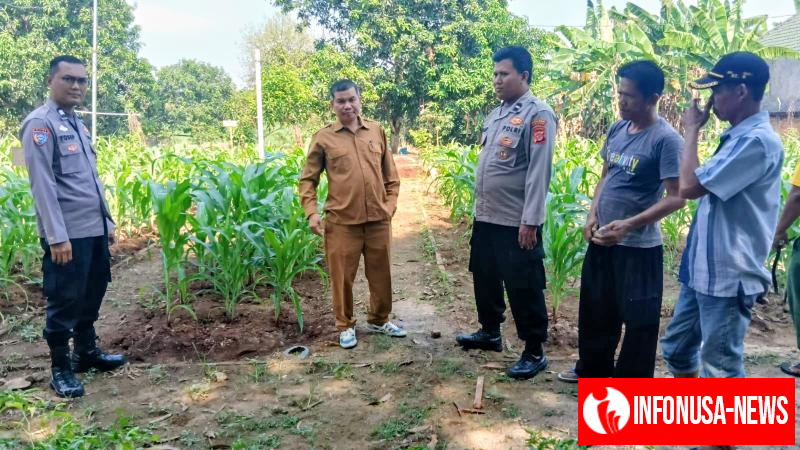 Bhabinkamtibmas Polsek Telagasari Laksanakan Pemeliharaan Tanaman di Kebun Ketahanan Pangan Polsek Telagasari
