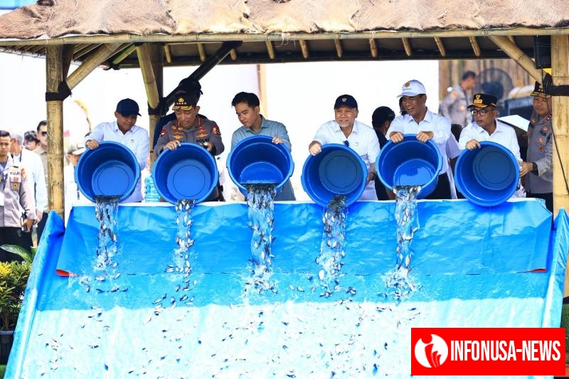 Wakil Presiden RI Tebar 80.000 Bibit Ikan Nila, Wujud Dukung Ketahanan Pangan Nasional