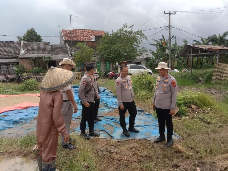 Kapolsek Kotabaru Tinjau Kesiapan Lahan Jagung Kuartal V, Dukung Ketahanan Pangan Nasional