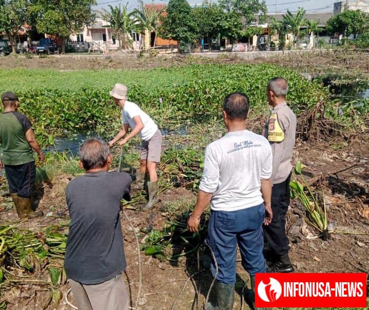 Bhabinkamtibmas Polsek Klari Bersama Warga Bersihkan Eceng Gondok di Perum Puri Kosambi