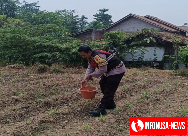 Upaya Sinergitas Polri Bersama Warga Binaan Desa Gempol Melaksanakan Penanaman Pohon Jagung
