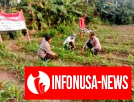 Polsek Pedes Monitoring Pertumbuhan Tanaman Jagung Dalam Rangka Ketahanan Pangan Nasional
