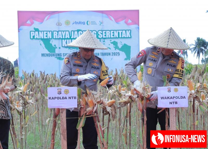 Kapolda NTB Hadiri Panen Raya Jagung Serentak, Dorong Swasembada Pangan 2025