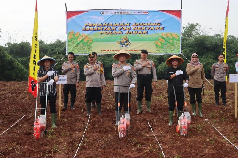 Polri Dukung Swasembada Pangan, Kapolres Subang Pimpin Penanaman Jagung Serentak 750 Hektare