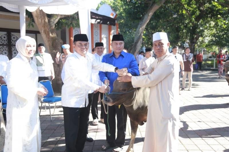 Polda NTB Sembelih Ratusan Hewan Kurban, Daging Dibagikan Kepada Masyarakat Penerima Manfaat