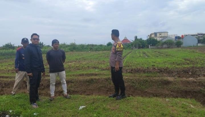 Po?sek Klari Gaungkan Swasembada Pangan, Lakukan Pemupukan Tanaman Jagung