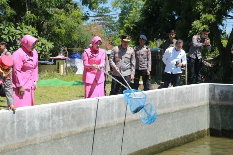 Kapolda NTB Pimpin Panen Ikan di SPN Belanting, Dukung Program Ketahanan Pangan Nasional