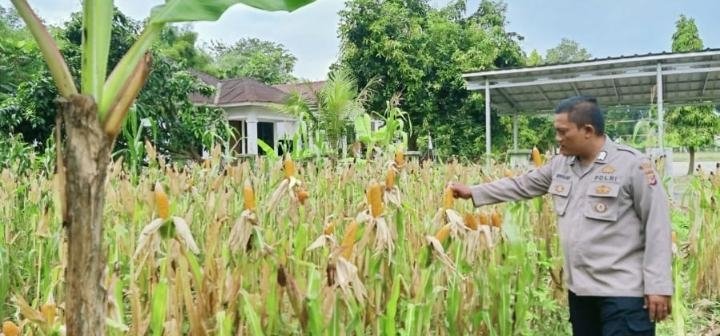 Polsek Telukjambe Barat Fokus Program Ketahanan Pangan Nasional 2026