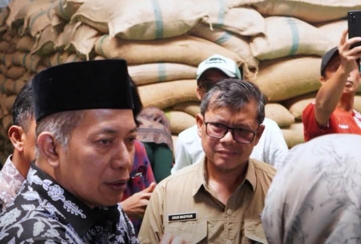 Dari Lereng Cisalak ke Afrika Utara, Kopi Subang Menyapa Dunia 