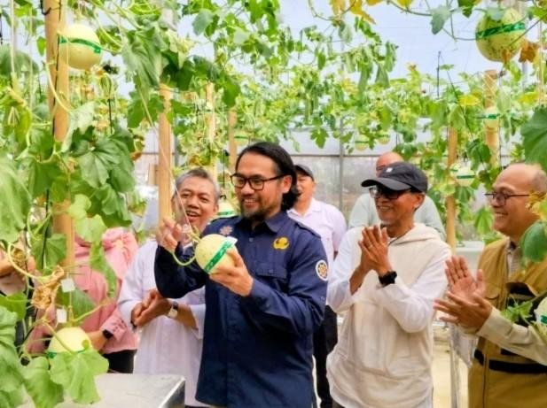 Panen Melon Hidroponik di Subang Buktikan Riset Kampus Mampu Tingkatkan Hasil Petani