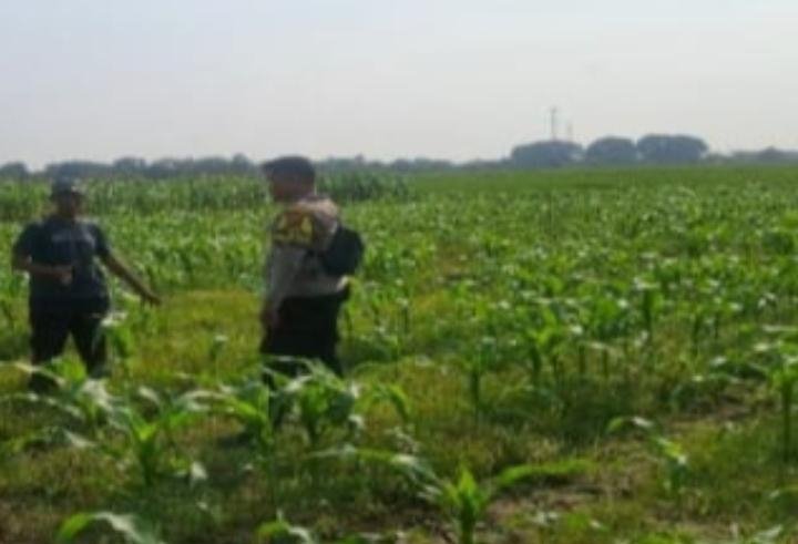 Sinergi Polsek Jatisari Dengan Masyarakat Sukseskan Program Swasembada Pangan Nasional