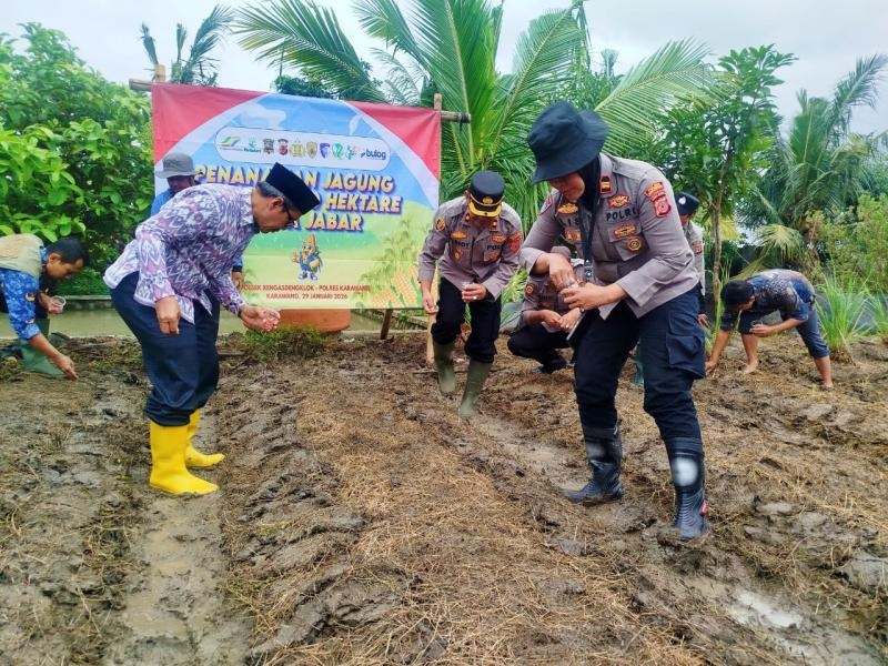 Dukung Ketahanan Pangan Berkelanjutan Polres Karawang, Polsek Rengasdengklok Serentak Laksanakan Penanaman Jagung Kwartal 1 Tahun 2026
