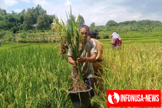 Kado Istimewa Peringatan Hari Tani Nasional 2025, Bupati Bekasi Ade Kuswara Kunang Persembahkan Perda LP2B untuk Sejahterakan Petani
