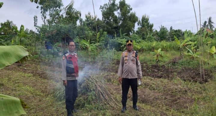 Kapolsek Klari Cek Lahan Penanaman Jagung Dukung Program Ketahanan Pangan