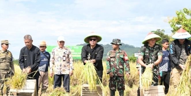 Panen Raya Banjar, Petani Tersenyum Gabah Diserap Negara