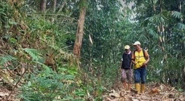 Petugas DLHK Perketat Patroli Tahura Gunung Palasari, Cegah Karhutla di Tengah Musim Kemarau