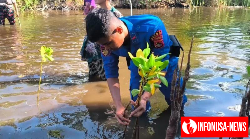 Ditpolairud Polda NTB Hijaukan Pesisir, Tanam 200 Pohon Mangrove di Pantai Kokoq Pedeq