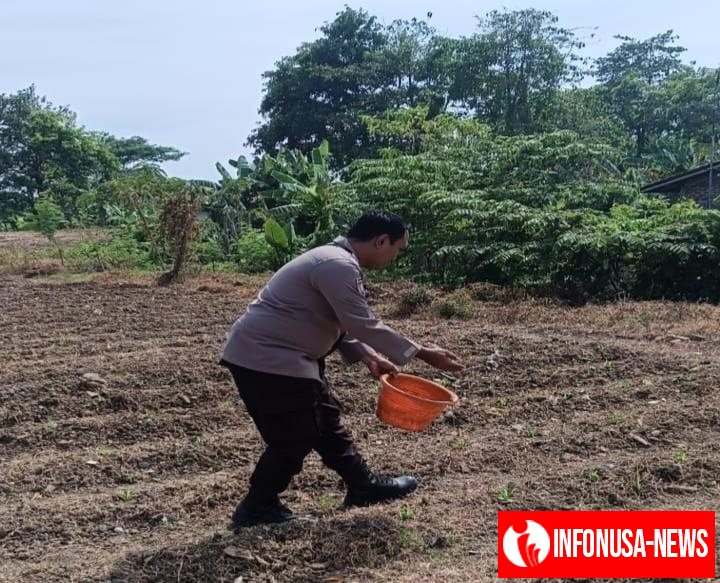 Upaya Sinergitas Polri Bersama Warga Desa Gempol Melaksanakan Penanaman Pohon Jagung