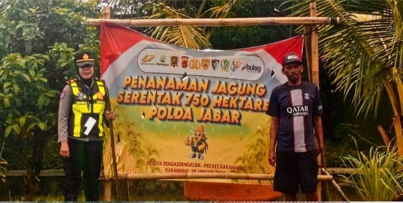 Pastikan Tanaman Tumbuh Subur, Panit Binmas Polsek Rengasdengklok Lakukan Pengecekan Lahan Jagung Hibrida