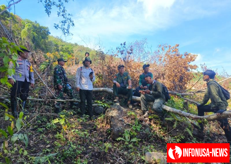 Cegah Perambahan Hutan, Personel Gabungan Terjun Laksanakan Patroli Di Kecamatan Utan
