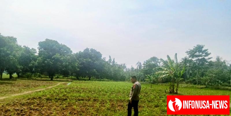 Kapolsek dan Personil Polsek Tempuran Kontrol Lahan di desa Purwajaya Kec. Tempuran Guna dukung penuh Program Ketahanan Pangan.