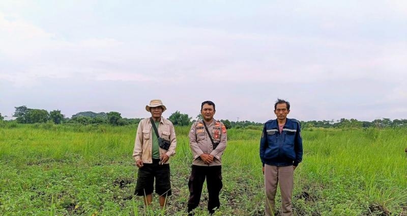 Bhabinkamtibmas Polsek Banyusari Bersama Petani Monitoring Pertumbuhan Tanaman Jagung