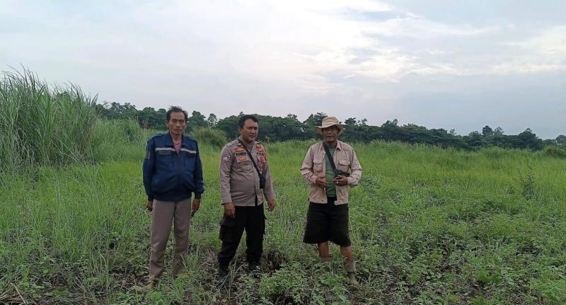 Aipda Abdul Rahman Bhabinkamtibmas Polsek Banyusari Bersama Petani Monitoring Pertumbuhan Tanaman Jagung