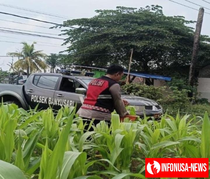 Sinergitas Polri Bersama Warga Desa Gempol Melaksanakan Penanaman Pohon Jagung