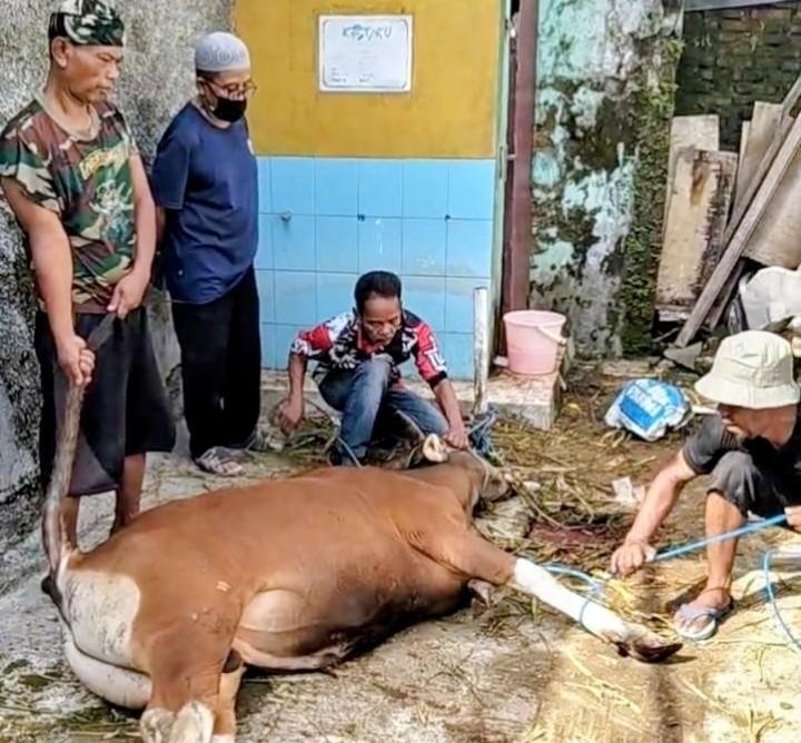 Semangat Gotong Royong Warga Cijalu, Dua Ekor Sapi dan Tiga Kambing Dikurbankan untuk Kebersamaan