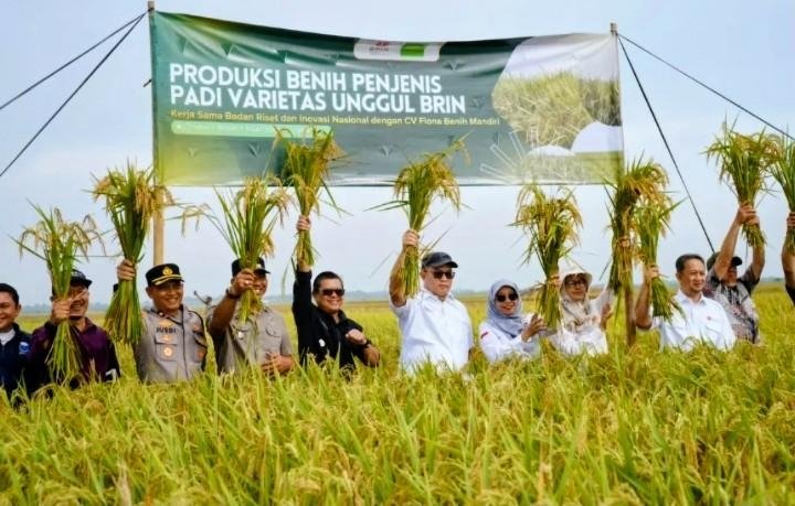 Benih Unggul untuk Petani Bahagia, Harapan Baru dari Sawah Subang