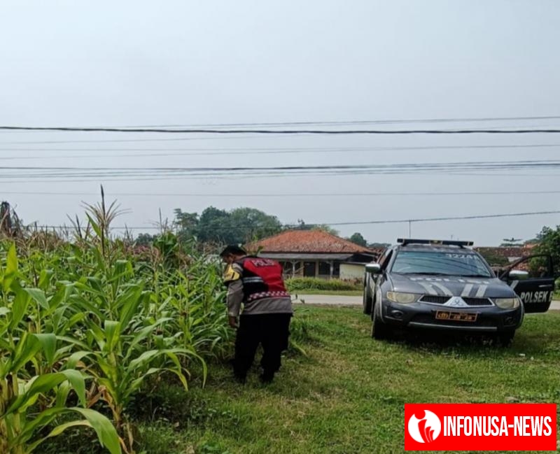 Upaya Merawat Sinergitas Polri Gencar Melaksanakan Penyiraman Pohon Jagung Desa Gempol