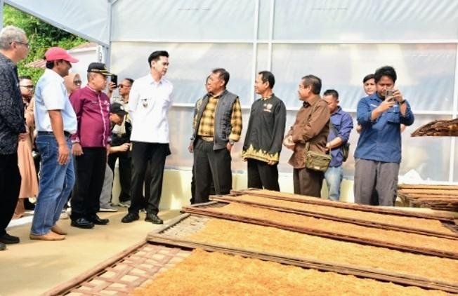 Harapan Tumbuh dari Ladang Petani Tembakau Sumedang
