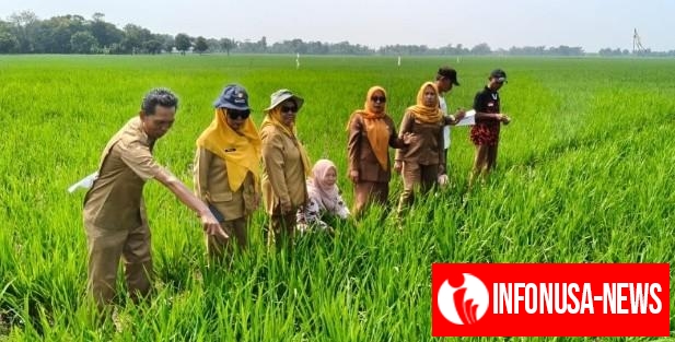 Memasuki Musim Hujan di Akhir Tahun, Pemerintah Desa Telukagung Kecamatan Indramayu Bersiap Menyambut Pelaksanaan Musim Tanam Rendeng Pada 25 Desember 2025