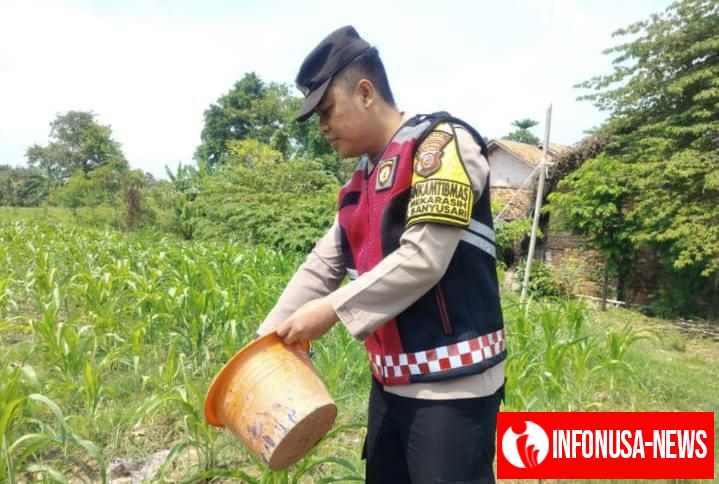 Sinergitas Polri Bersama Warga Desa Gempol Melaksanakan Penanaman Pohon Jagung Guna Mendukung Program Ketahanan Pangan