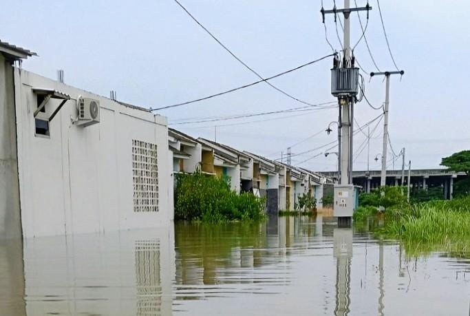 Menanti Solusi di Tengah Genangan: Suara Warga Arafah Village untuk Kali Sepak Gabus