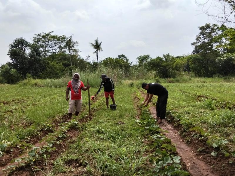 Edi Jumala: Dari Lahan Kosong ke Harapan Pangan Menjelang Ramadan