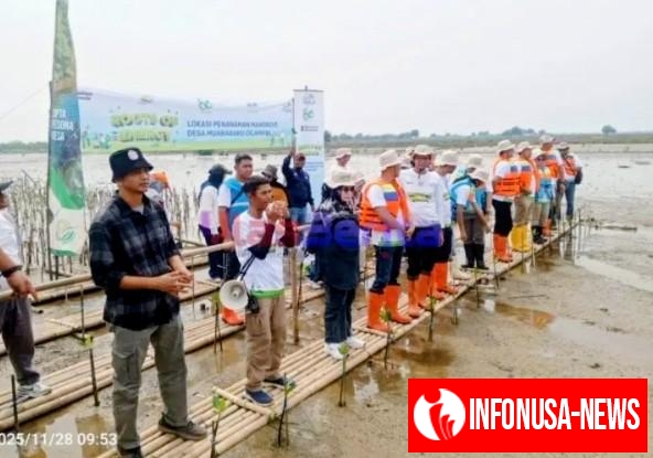 Selamatkan Pesisir yang Terancam Hilang, PLN Tanam 15 Ribu Mangrove di Karawang di Tengah Ancaman Abrasi yang Terus Menggerus Pesisir Utara