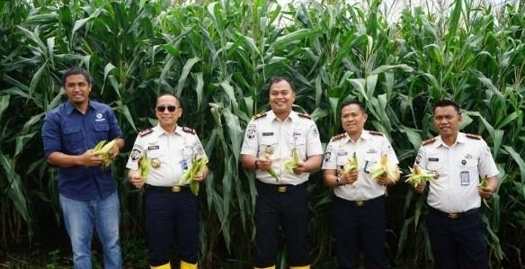 Dari Balik Jeruji, Harapan Tumbuh di Ladang Jagung Purwakarta