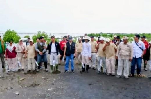 Menanam Harapan di Pesisir Utara: Gerindra Indramayu Lawan Abrasi dengan Mangrove