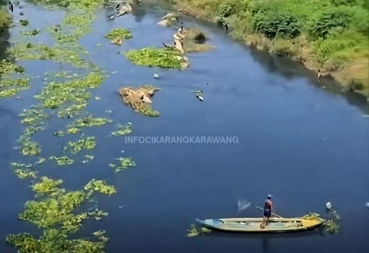 Air Citarum Menghitam, Ikan Tawes dan Mujair Mendadak Muncul ke Permukaan