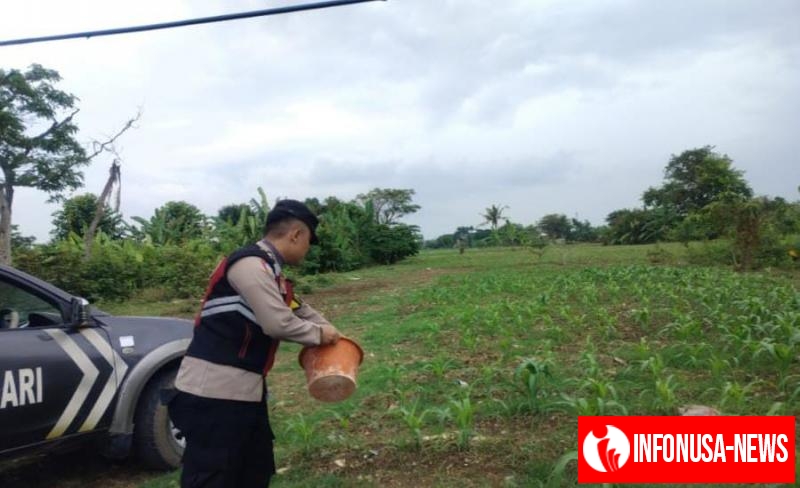 Kembali Lakukan Sinergitas Polri Bersama Warga Desa Gempol Melaksanakan Penanaman Pohon Jagung