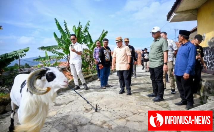 Gagah, Domba Kuningan Masuk Final Seni Ketangkasan Domba Garut Piala Presiden, kalahkan Ribuan Peserta di Babak Kualifikasi