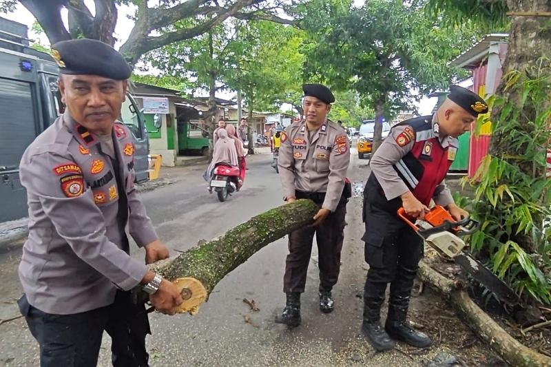 PATROLI SIGAP UNIT PAMMAT SUBDIT GASUM DIT SAMAPTA POLDA NTB EVAKUASI POHON TUMBANG DI SEKARBELA MATARAM