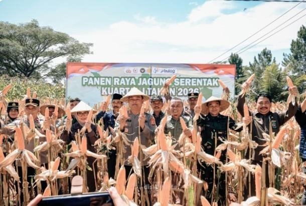 Petani Jadi Pahlawan Pangan, Panen Raya Jagung Ciamis Tegaskan Ketahanan Daerah
