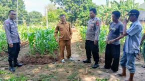 Bhabinkamtibmas Polsek Telagasari Laksanakan Pemeliharaan Tanaman di Kebun Ketahanan Pangan Polsek Telagasari