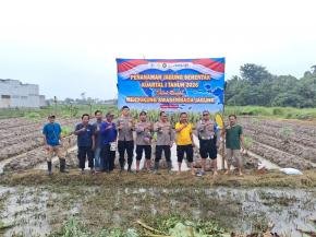 Personil Polsek Telagasari Berdayakan Petani Untuk Menanam Jagung, Dukung Program Ketahanan Pangan Nasional