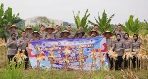 Satlantas Polres Karawang Dukung Swasembada Pangan Nasional, melalui Budidaya Tanaman Jagung