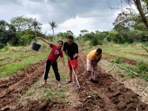Tak Menunggu Bantuan, Edi Jumala  Sulap 1.000 Meter Tanah Darat Jadi Kebun Timun Suri