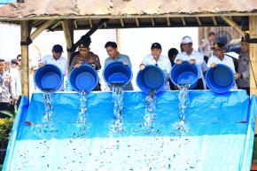 Wakil Presiden RI Tebar 80.000 Bibit Ikan Nila, Wujud Dukung Ketahanan Pangan Nasional
