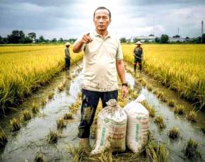 AMKI Karawang Minta BULOG Buka Data Serapan Gabah, Suara Petani Harus Terlihat Nyata